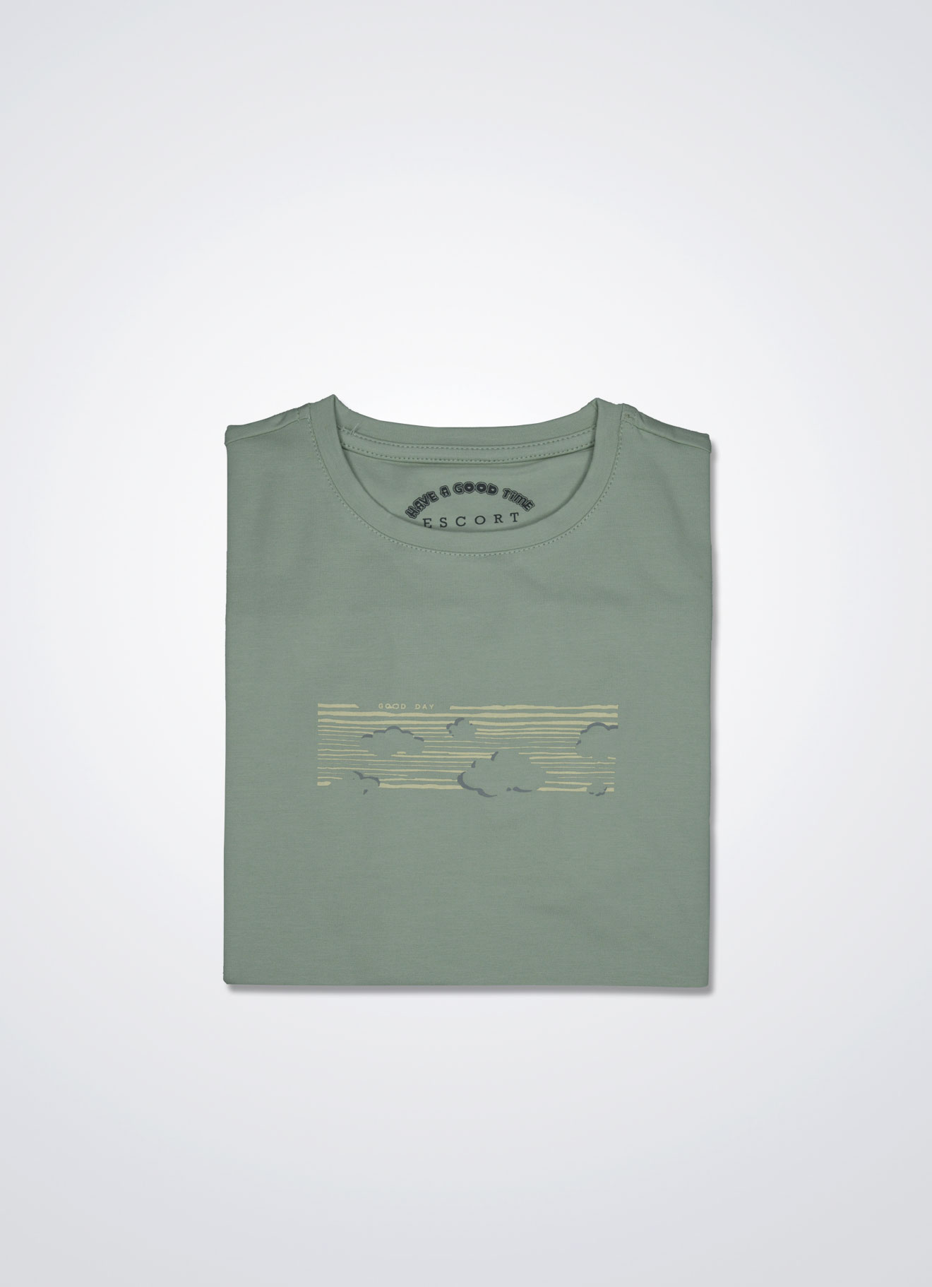 Desert-Sage by T-Shirt